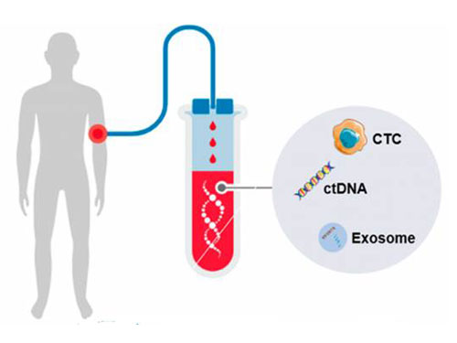 Digital PCR Cancer Mutation Screening Kits | Molecular Biology ...