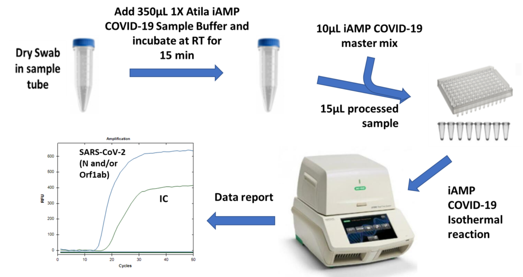 Detect test. PCR Test for Covid 19. Test PCR for Covid Rimini. PCR Test for Covid 19 Rimini. IAMP перевод