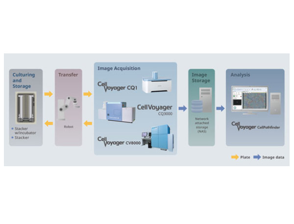 yokogawa