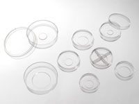 Cellvis-Imaging-Consumables1 Cellvis-Imaging-Consumables1